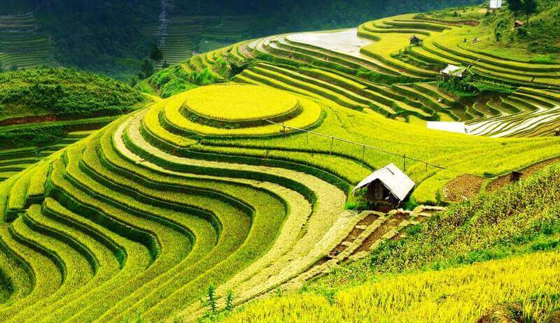 Điểm Du Lịch SAPA Bạn Không Thể Bỏ Qua
