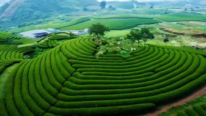 13 Điểm Du Lịch Mộc Châu – Hành Trình Khám Phá Cao Nguyên Tuyệt Đẹp